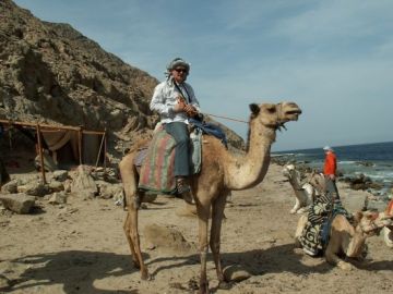 Knauf Expedition 2008 :: Na ziemiach faraonów